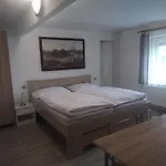 홈스테이 Apartma Hluboka *
