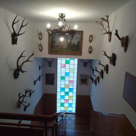 Apartma Hluboka *